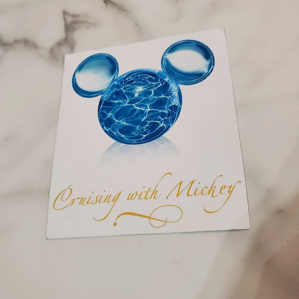 Hand Crafted disney cruise